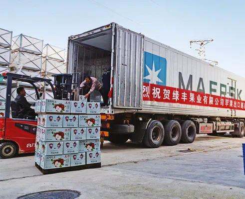 千陽縣26噸“魔笛”蘋果出口越南