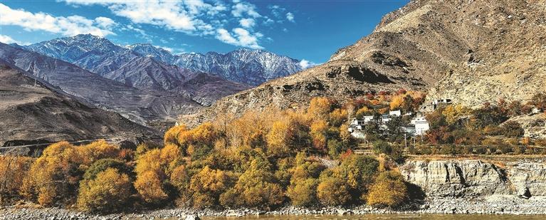 在“世界屋脊”守護生命健康