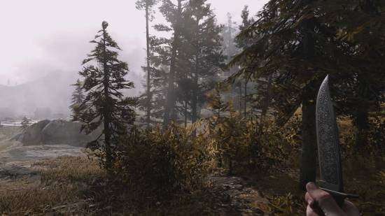 RTX5090下的《大鏢客2》美到離譜：8K畫質接近現實