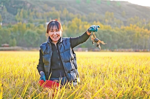 橫山區書寫“十四五”高質量發展答卷